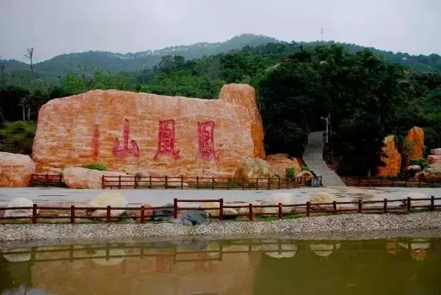 整整83个！深圳最新免费景点出炉，不花一分钱玩遍深圳！
