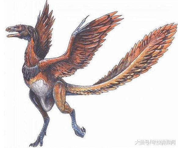 鸟类是如何进化而来? 为什么鸟类始祖叫始祖鸟? 科学为你揭秘