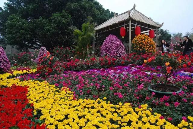 整整83个！深圳最新免费景点出炉，不花一分钱玩遍深圳！