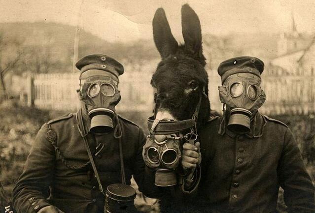 二战德国化学工业世界第一, 为什么直到战争结