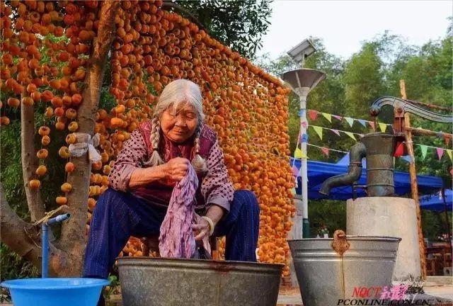 恭城月柿节来啦,不可不知的秘密
