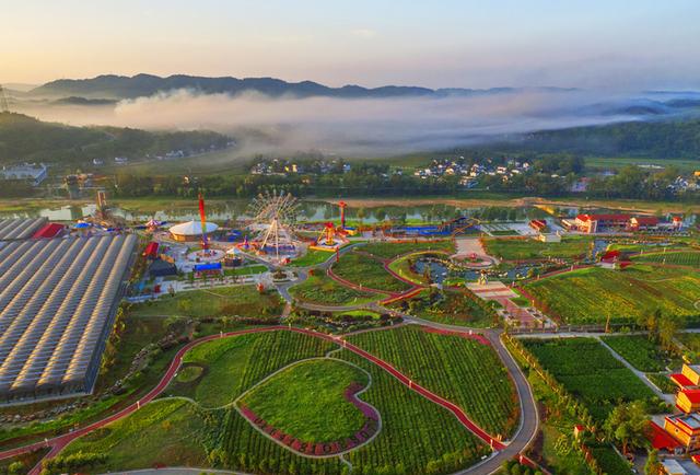 江油隐秘小巷在哪里可以找到 当地人必去的秘密角落与实用建议