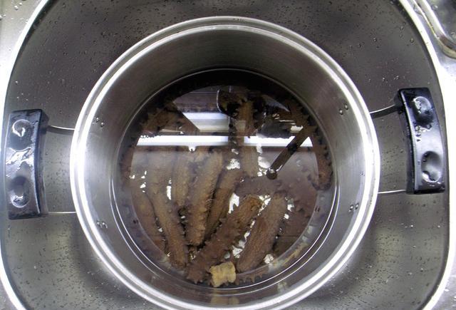 这才是海参泡发的正确方法