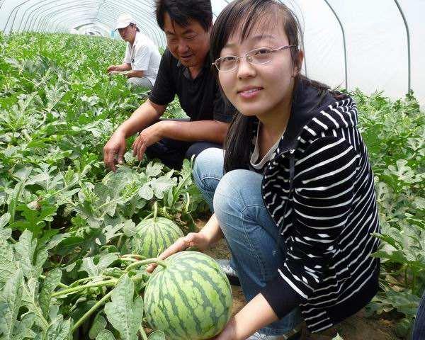 谁说知识不能改变命运?这些农村毕业大学生都