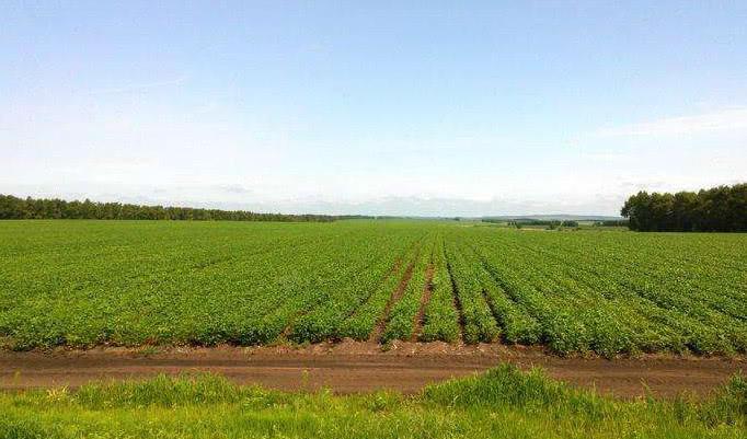 GDP华北沦陷! 为什么天津河北一带的经济发展