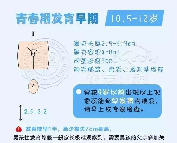 由于男孩青春期开始发育的标志比较隐蔽,如果孩子不说,家长一般难以