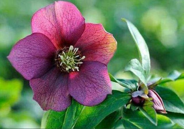 非常经典的句子:想法+方法+做法+执行力+坚持