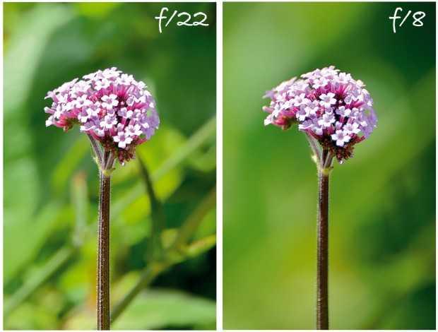 教你秒懂相机的光圈优先模式