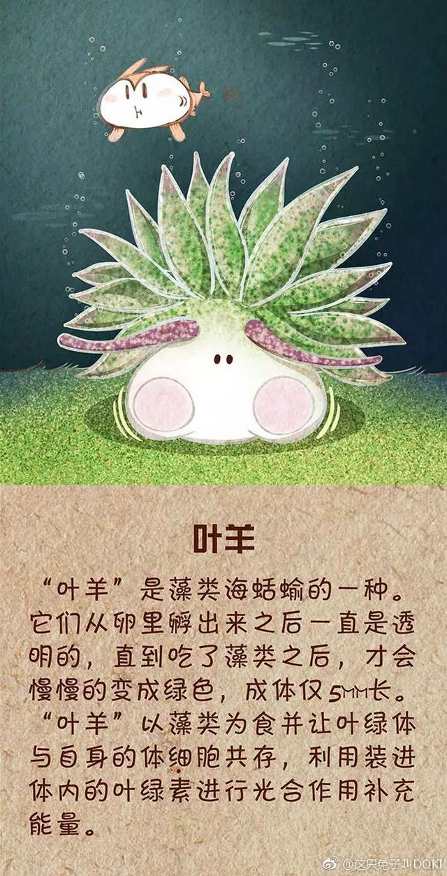 为啥冬天吃这9种肉最滋补？...