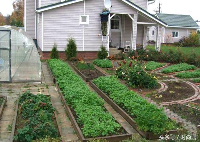 17个国外的"菜园子",网友直呼:比我家花园还美,我要改种菜了