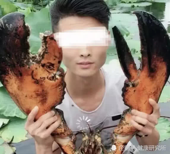 快手小伙做吃播半年吃光父母所有积蓄!网友:十