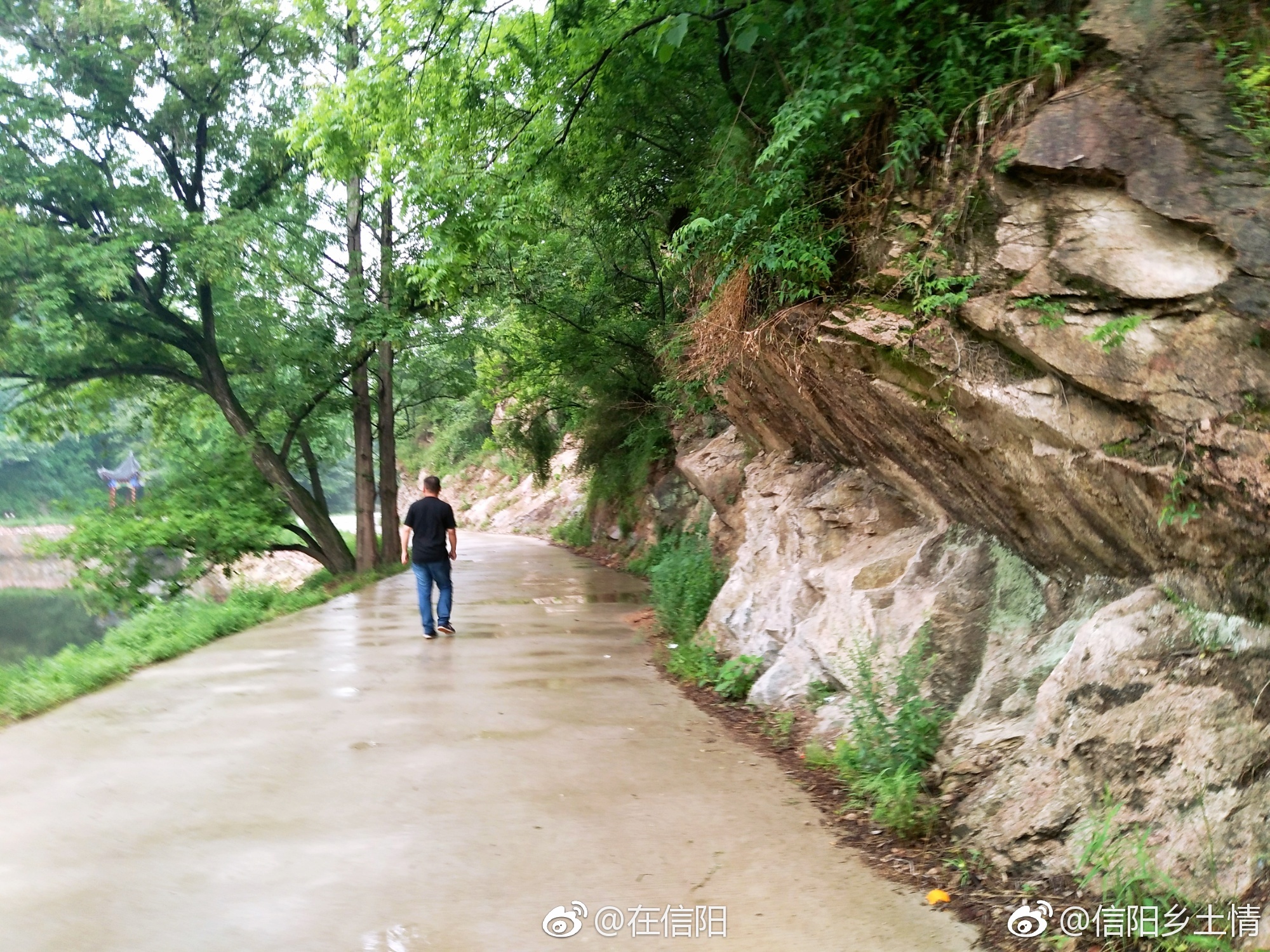 信阳周边旅游好去处 | 董家河五曲峡