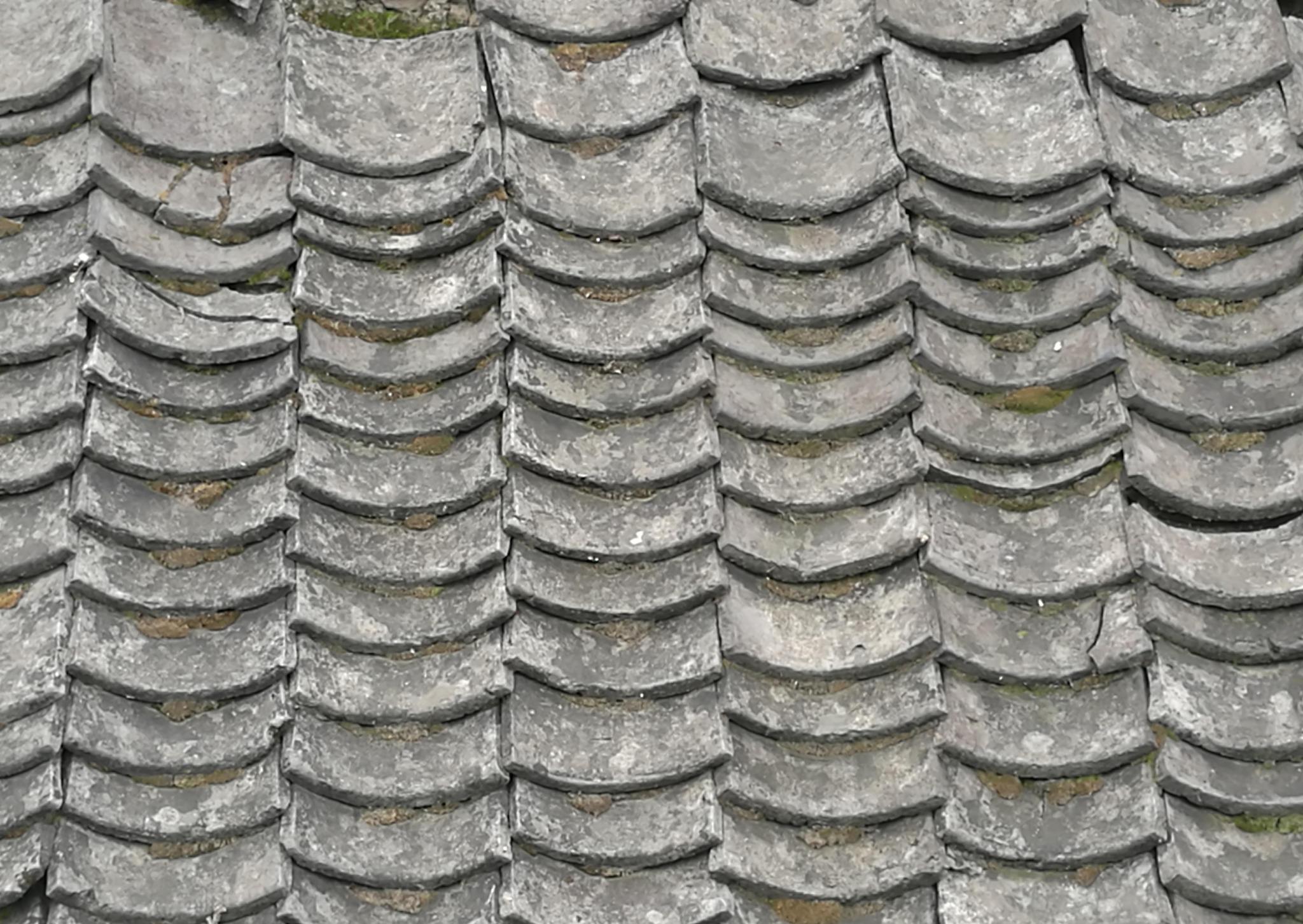 残垣断壁的最后岁月!实拍河南农村渐渐消失的