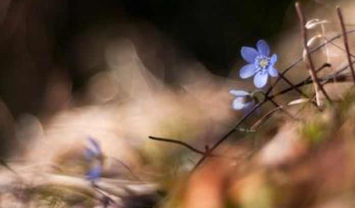 励志语句:你有一万个担心的理由,不如给自己一