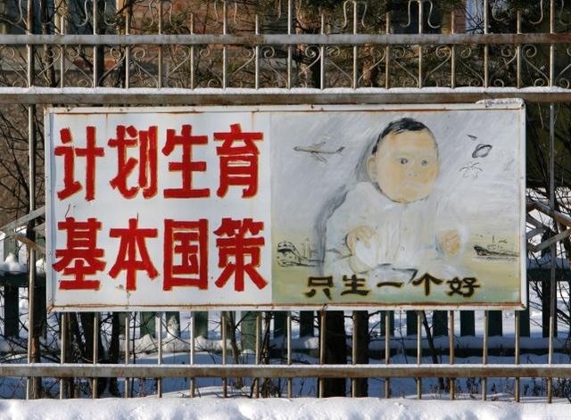 追求生育