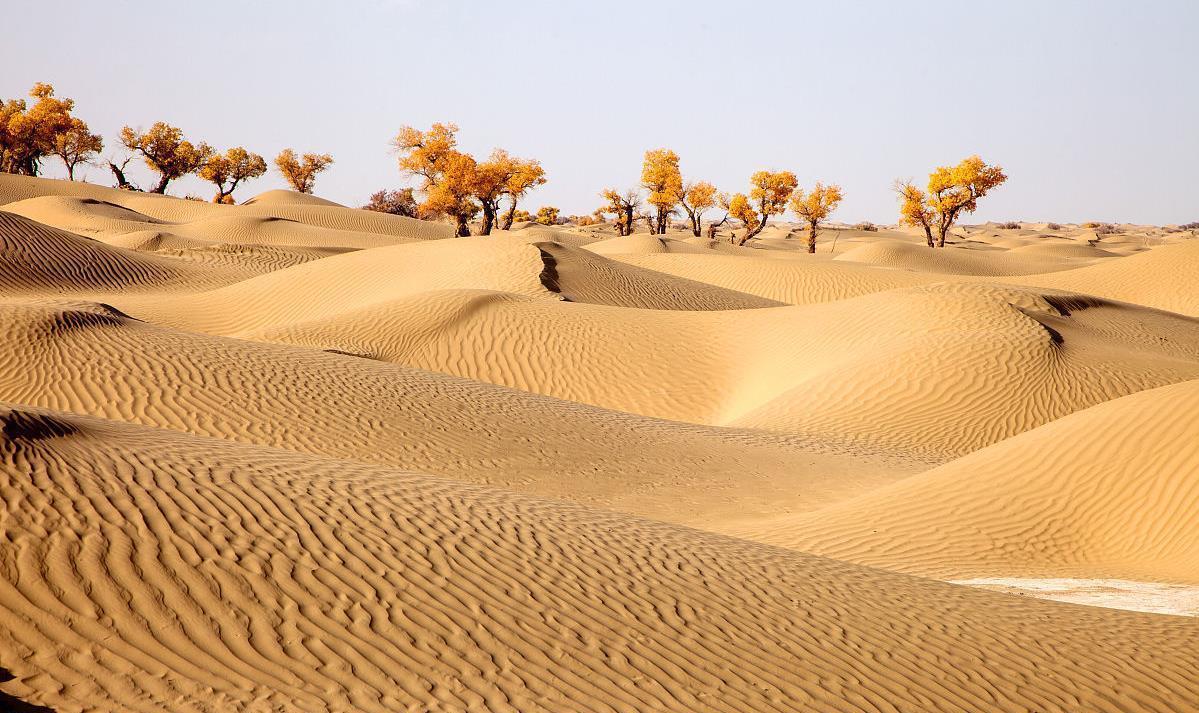 在世界各大沙漠中, 塔克拉玛干沙漠是最神秘,最具有诱惑力的一个