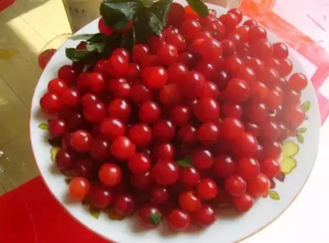 东北这些特产水果,吃一次就上瘾,你都吃过吗?