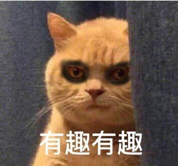 废话少说,这波猫猫狗狗小猪的表情包可爱的不能行,都给你