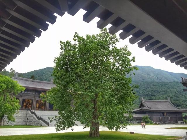 李嘉诚花 26 亿建的慈山寺，到底有多美？