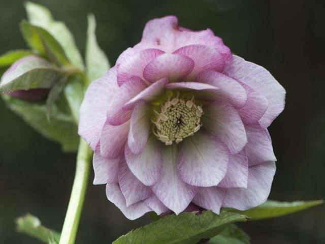 非常经典的句子:想法+方法+做法+执行力+坚持