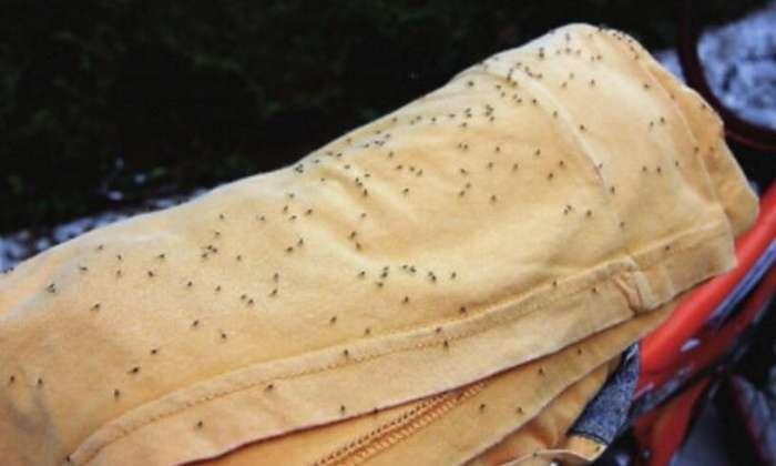 男子按摩后浑身瘙痒 知道真相令他头皮发麻!