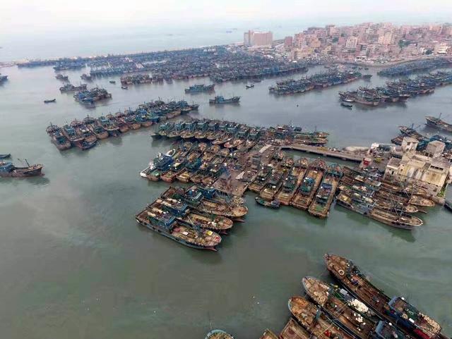 祥芝镇人口_人口普查