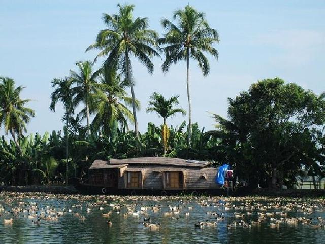 这国论虚伪世界第一,严重洪涝救灾没能力,却拒