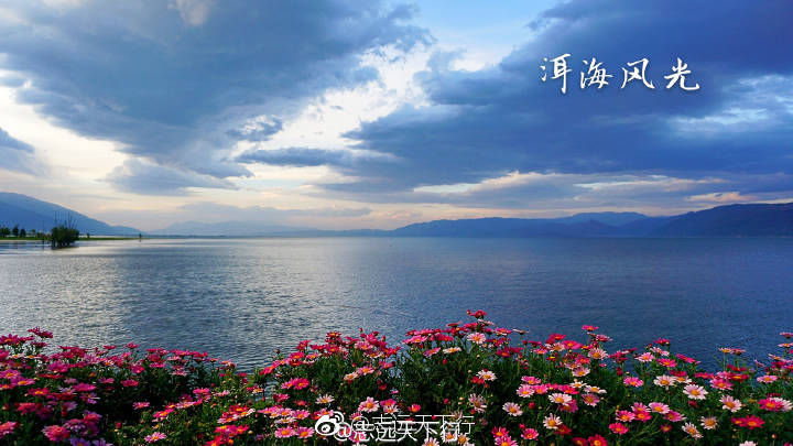 深夜想约茶却怕被坑？揭秘300元全包服务的5大避坑指南