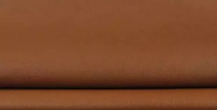 别被繁花迷了眼,Tcs寓见教你几招快速分清纳帕皮