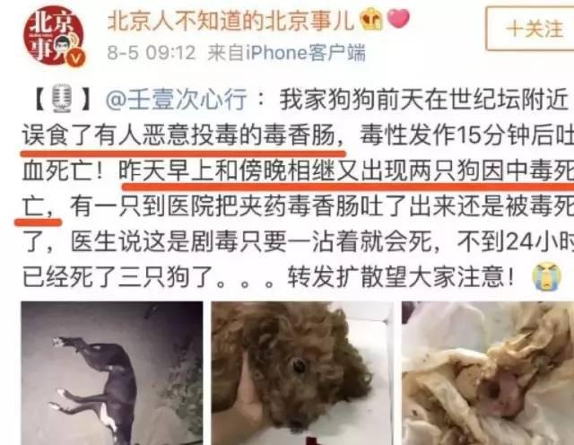 异烟肼毒狗人狗对立从来不是狗的问题