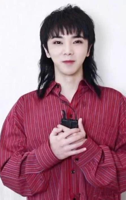今年的娱乐圈可是被一种叫鲻鱼头的发型给席卷了啊,华晨宇的鲻鱼头,显