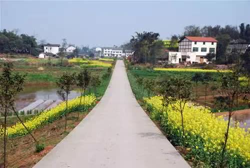 农村道路必须要加宽了,否则会车太困难!