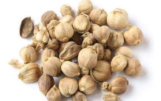 做了30年卤肉的师傅,教你区分14种香料