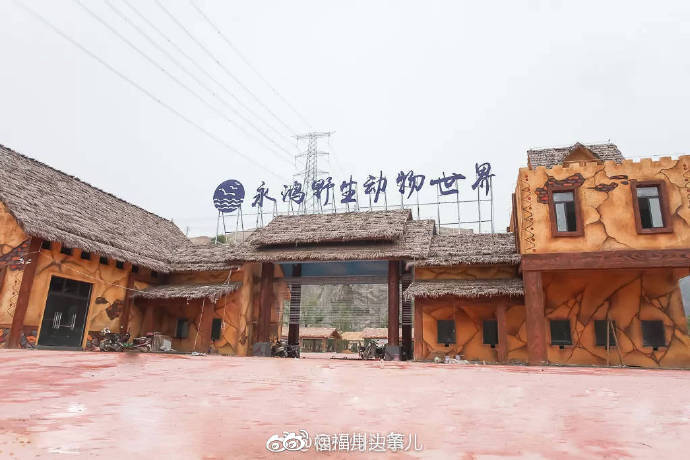 福清永鸿野生动物世界即将开幕!300亩园区,10