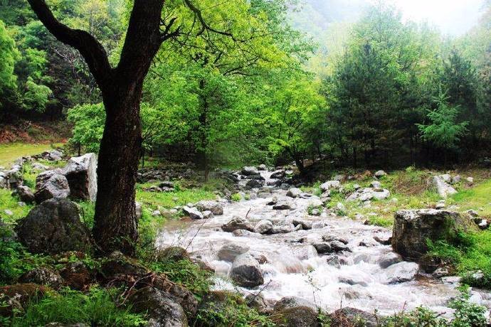 连雨不知春去,一晴方觉夏深