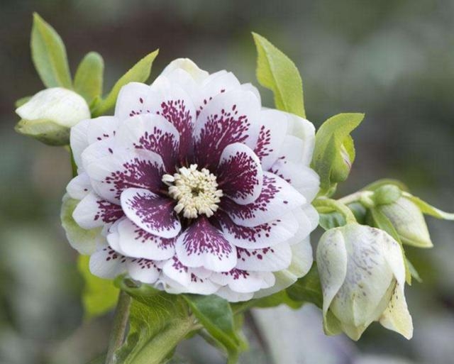 非常经典的句子:想法+方法+做法+执行力+坚持