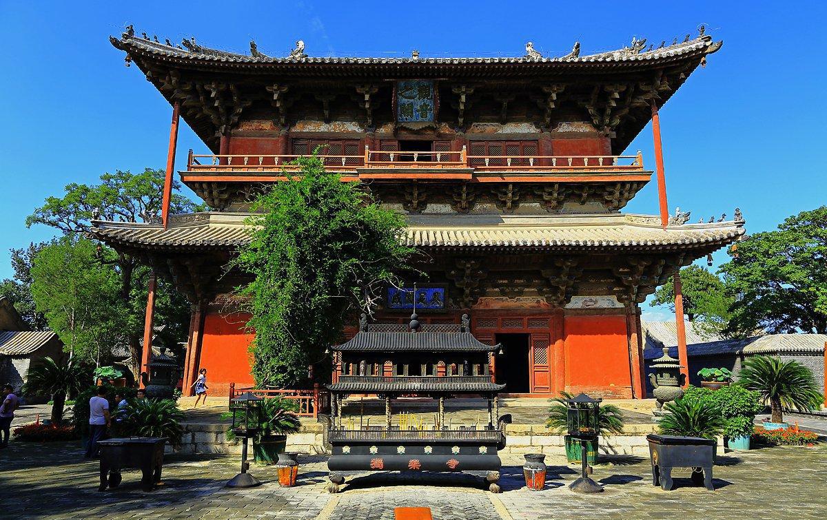 澳男子好心帮蟒蛇过马路，却被咬断腕动脉！遇蟒蛇究竟...