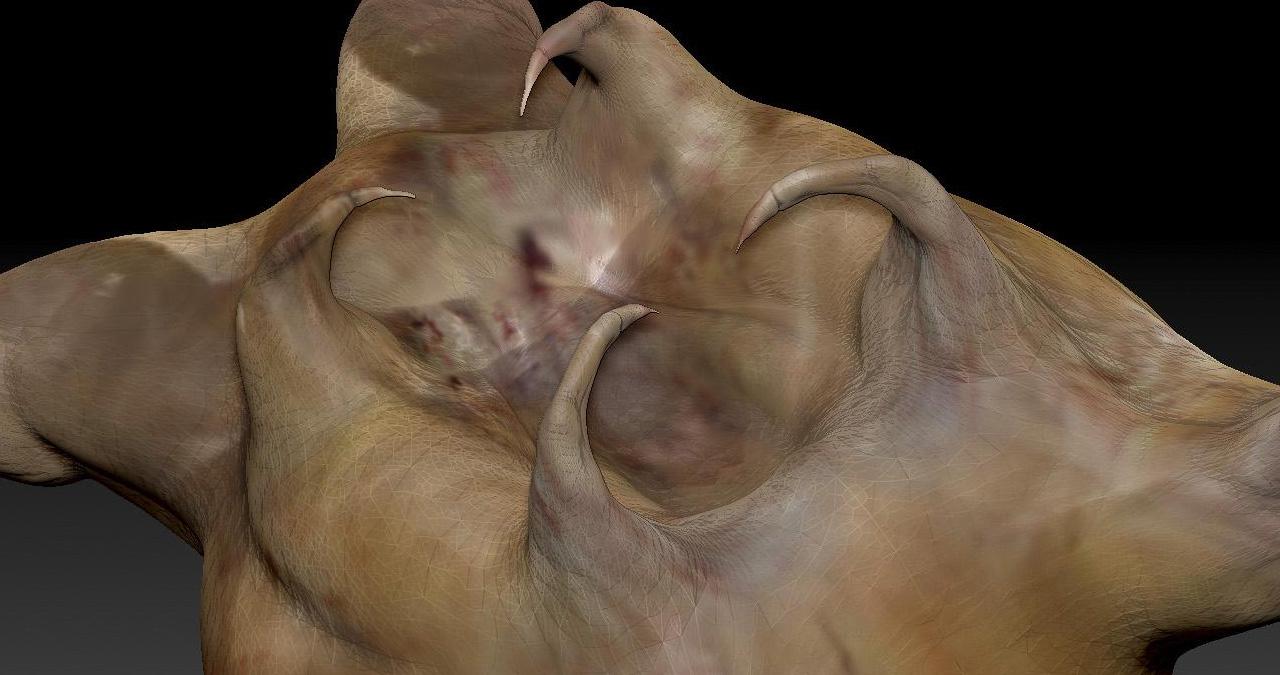 古代没有先进的医疗设备,被狗咬得了狂犬病只能等死?古人有妙招