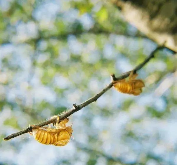 情商非常高的哲理句子,值得收藏一辈子!