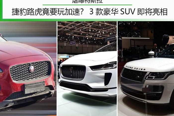 虐曝特斯拉 捷豹路虎竟要玩加速？3款豪华SUV即将亮相