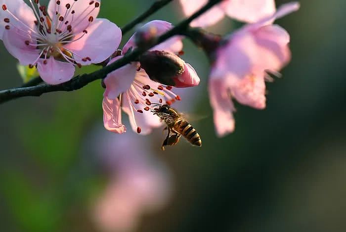 倒春寒走了，渭南又开始暖和咧!