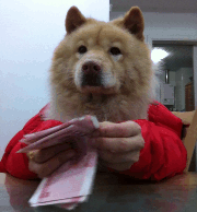 图片蠢萌难受GIF大合集搞笑表情包动物大全的发烧图片图片