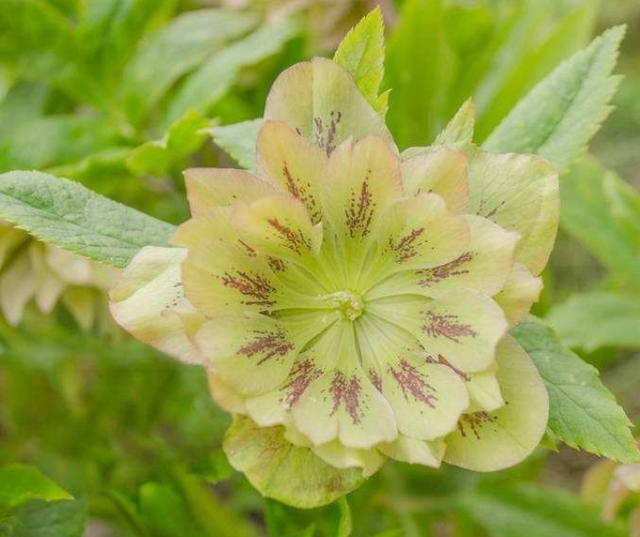 非常经典的句子:想法+方法+做法+执行力+坚持