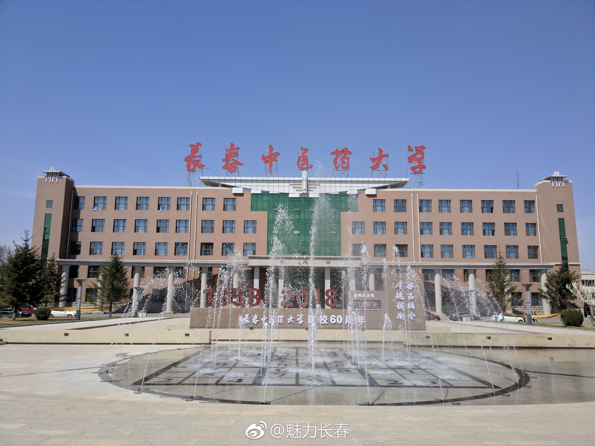 长春中医药大学校庆60周年开放日暨首届杏花