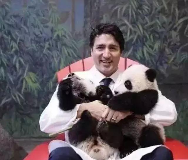 中国女子嫁给老外被抛弃后回国还可以加入中国