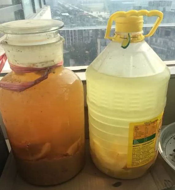 还用淘米水啤酒浇花?没掌握正确方法,浇啥死啥