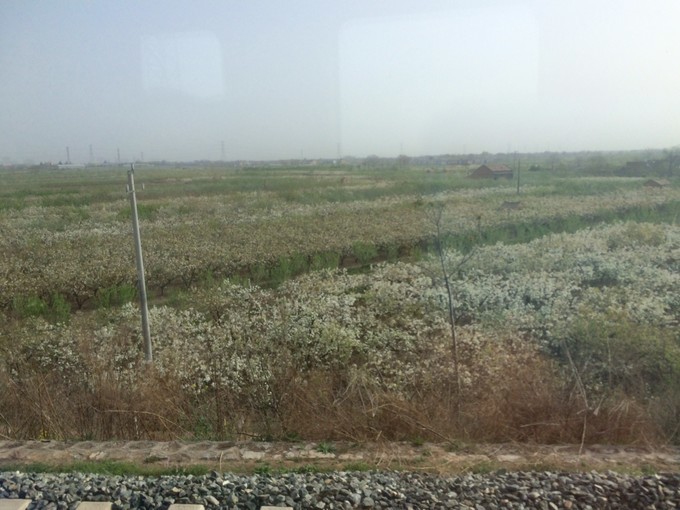 乾陵--气势磅礴的主陵建筑