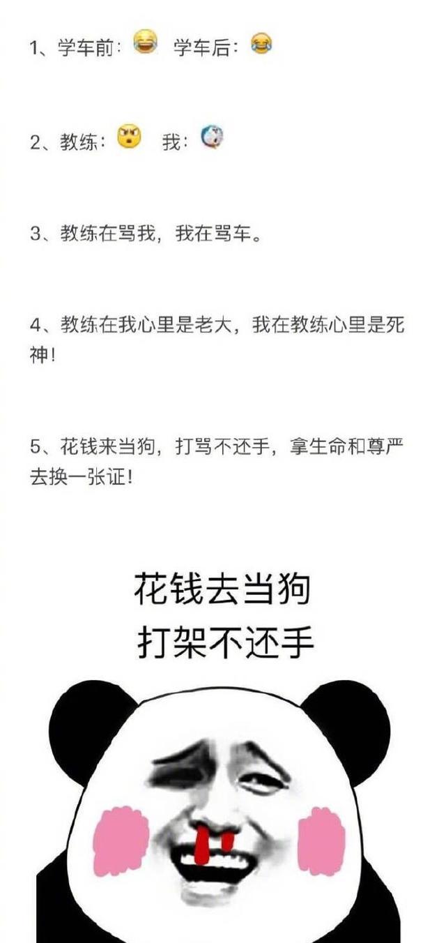 考驾照是一种什么体验,全国都有同一个教练!