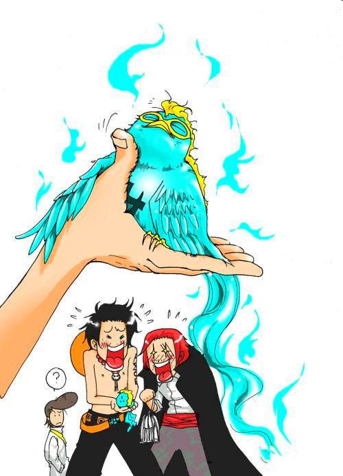 白胡子海贼团第一番队队长马尔高, 你什么时候