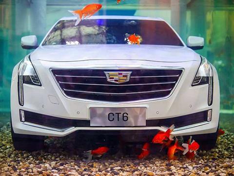 凯迪拉克2月销量大涨，但依旧难成主流豪华品牌